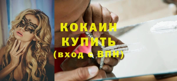 прущие грибы Алексин