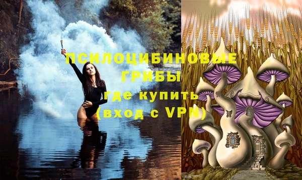 скорость Алзамай