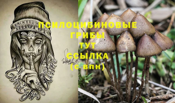 прущие грибы Алексин