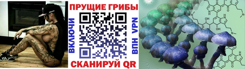 Галлюциногенные грибы MAGIC MUSHROOMS  хочу   Лихославль 